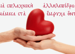 Άγιον Όρος Άθω: Ελεημοσύνη, μια σπλαχνική αλληλεπίδραση… ανάμεσα στα έμψυχα όντα!