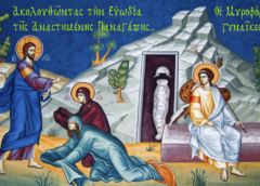 Άγιον Όρος Άθω: Ακολουθώντας ΤΗΝ Ευωδία… και ΤΗΝ Μελωδία… και ΤΟ Φως…